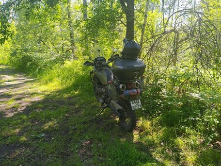 2012 Yamaha XT660Z Tenere, серый, 557557 рублей, вид 5