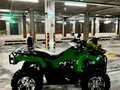 2025 Loncin XWolf 300, зелёный, 300000 рублей - вид 5