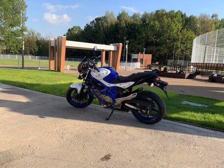 2011 Suzuki SFV 650 Gladius, белый, 420000 рублей, вид 2