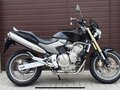 2005 Honda CB 600F Hornet, чёрный, 550000 рублей - вид 1