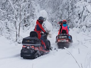 2025 AODES (Odes) Snowcross 1000, красный, 1351200 рублей, вид 2