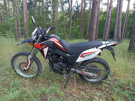 2023 Lifan LF250GY-3, красный, 110000 рублей, вид 1