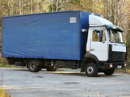 2003 МАЗ 4370, серый, 580000 рублей, вид 5