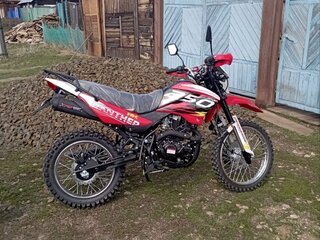 2025 Racer Panther, красный, 135000 рублей, вид 1