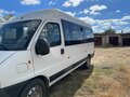 2011 Fiat Professional Ducato, белый, 500000 рублей - вид 1