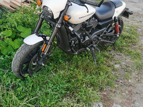 2018 Harley-Davidson Street Rod, белый, 800000 рублей, вид 4