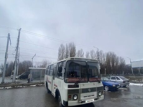 2008 ПАЗ 32053-20, белый, 300000 рублей, вид 1