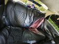 2008 Chevrolet Lanos I, серый - вид 5