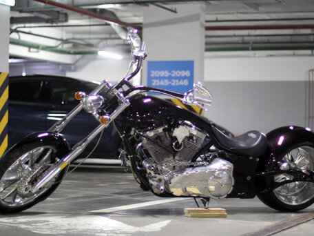 2008 Big Bear Choppers Sled, красный, 1555555 рублей, вид 4