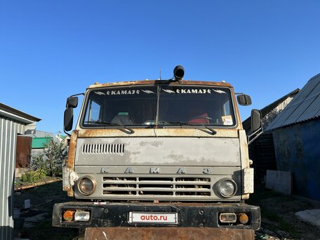 1993 КамАЗ 55102, серый, 350000 рублей, вид 1