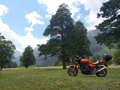 1998 Honda CB 1300, оранжевый, 249000 рублей, вид 2