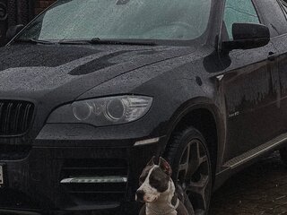 2011 BMW X6 50i 8-speed I (E71), чёрный, 1790000 рублей, вид 2