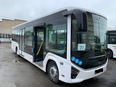 2024 ПАЗ 4223/4228, белый, 7900000 рублей, вид 2