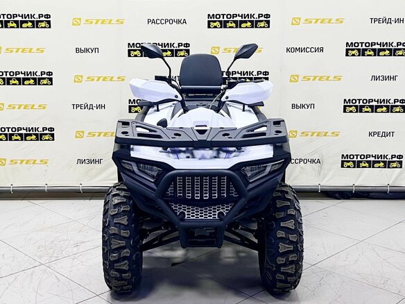 2025 Bashan Explorer 320, белый, 549000 рублей - вид 7