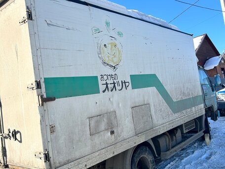 1995 Toyota Dyna, зелёный, 600000 рублей, вид 4