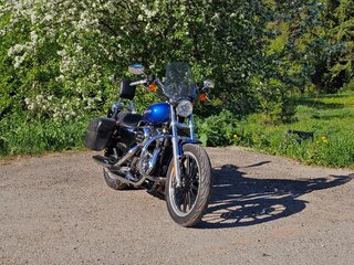 2009 Harley-Davidson Sportster 1200, синий, 600000 рублей, вид 3