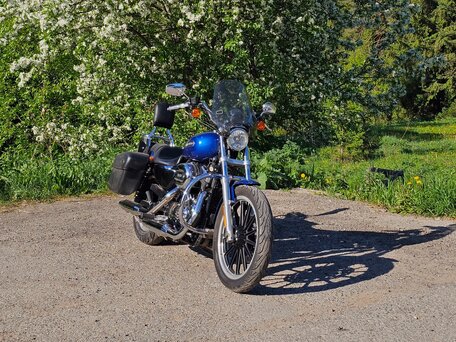 2009 Harley-Davidson Sportster 1200, синий, 600000 рублей, вид 3