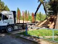 2017 Mercedes-Benz Actros, белый, 9000000 рублей - вид 7