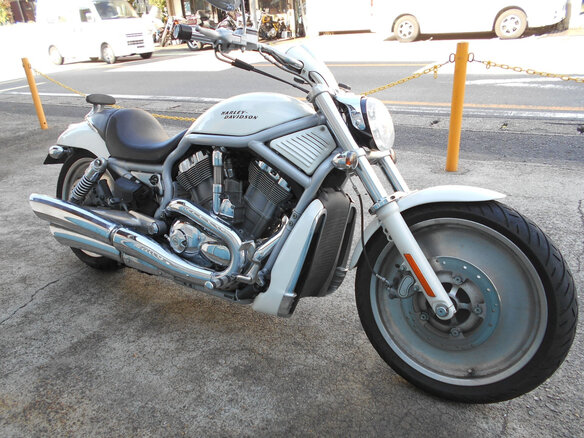 2003 Harley-Davidson V-Rod, белый, 800000 рублей