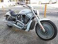 2003 Harley-Davidson V-Rod, белый, 800000 рублей