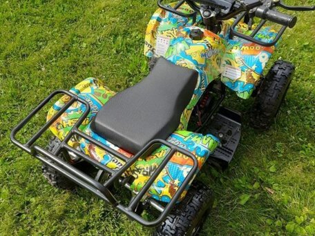 2018 Motax Grizlik X-16, золотистый, 28000 рублей, вид 2
