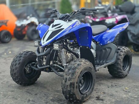 2019 Yamaha Raptor YFM90, синий, 220000 рублей, вид 1