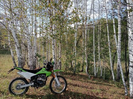 2021 Regulmoto Sport 003, зелёный, 155000 рублей, вид 2