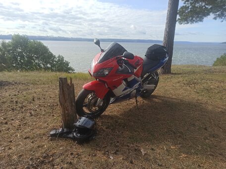 2001 Honda CBR 600F, красный, 450000 рублей, вид 3