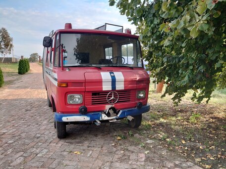 1973 Mercedes-Benz 408D, красный, 666820 рублей, вид 3