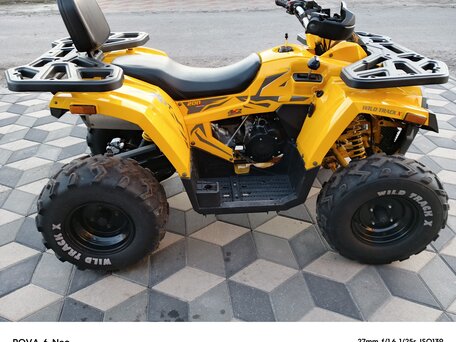 2023 Motoland Wild Track 200, жёлтый, 190000 рублей, вид 4