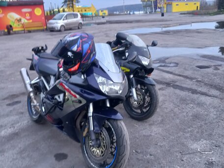 2001 Honda CBR 929RR Fireblade, синий, 500000 рублей, вид 2
