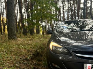 2014 Opel Astra J Рестайлинг, серый, 840000 рублей, вид 3