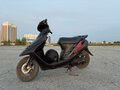 2005 Honda Dio, чёрный, 35999 рублей - вид 4
