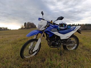 2018 Irbis TTR 250, синий, 115000 рублей, вид 3