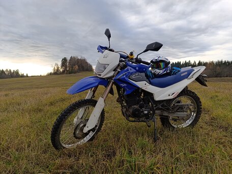 2018 Irbis TTR 250, синий, 115000 рублей, вид 3