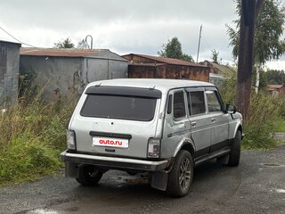 2006 Lada (ВАЗ) 2131 (4x4) I, серебристый, 255000 рублей, вид 3