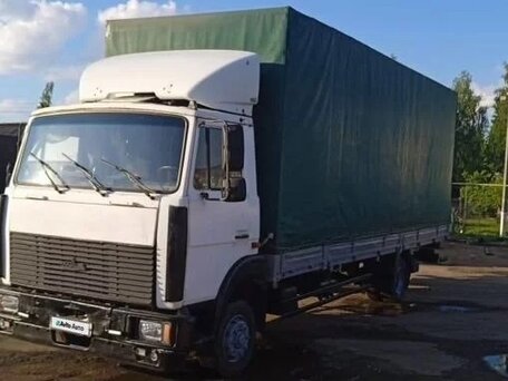 2005 МАЗ 4370, белый, 1175000 рублей, вид 3