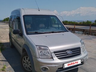 2010 Ford Tourneo Connect I Рестайлинг, серебристый, 1050000 рублей, вид 1