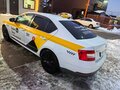 2019 Skoda Octavia III (A7) Рестайлинг, белый, 910000 рублей - вид 4