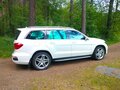 2013 Mercedes-Benz GL-Класс 350 II (X166), белый, 2750000 рублей - вид 8