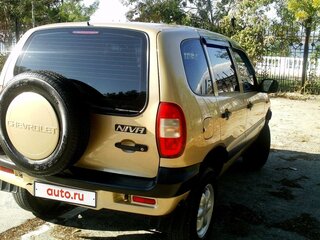 2004 Chevrolet Niva I, золотистый, 445000 рублей, вид 3