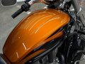 2014 Harley-Davidson V-Rod Muscle, золотистый, 1350000 рублей - вид 1