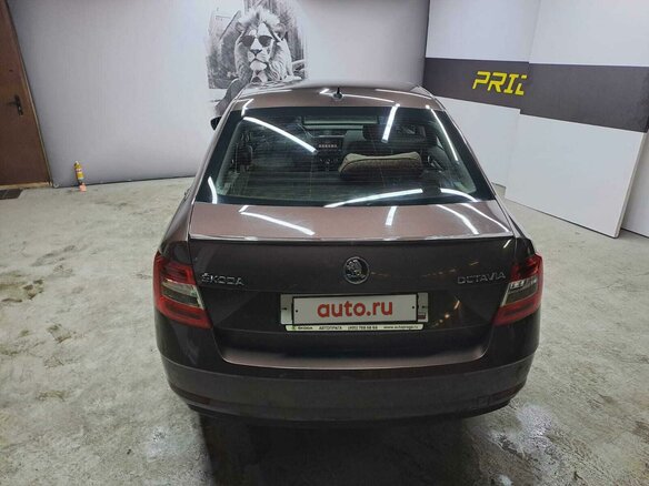 2018 Skoda Octavia III (A7) Рестайлинг, коричневый, 1630000 рублей - вид 4
