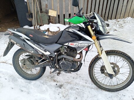 2023 Motoland Enduro 250, зелёный, 85000 рублей, вид 3