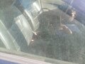 2004 Ford Focus I Рестайлинг, синий, 100000 рублей - вид 5