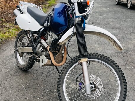 2006 Suzuki Djebel 250, синий, 280000 рублей, вид 2