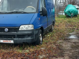 2002 Fiat Professional Ducato, синий, 330000 рублей, вид 3