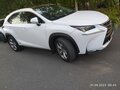 2014 Lexus NX 300h I, белый, 2650000 рублей - вид 5