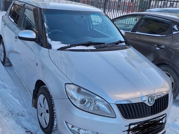 2010 Skoda Fabia II Рестайлинг, серый, 480000 рублей - вид 1