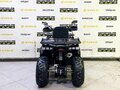 2025 Bison Warrior 200, чёрный - вид 3
